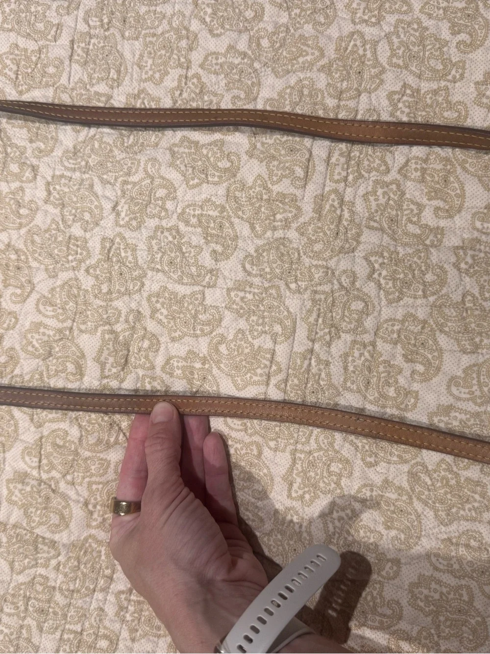Louis Vuitton Eva Pochette